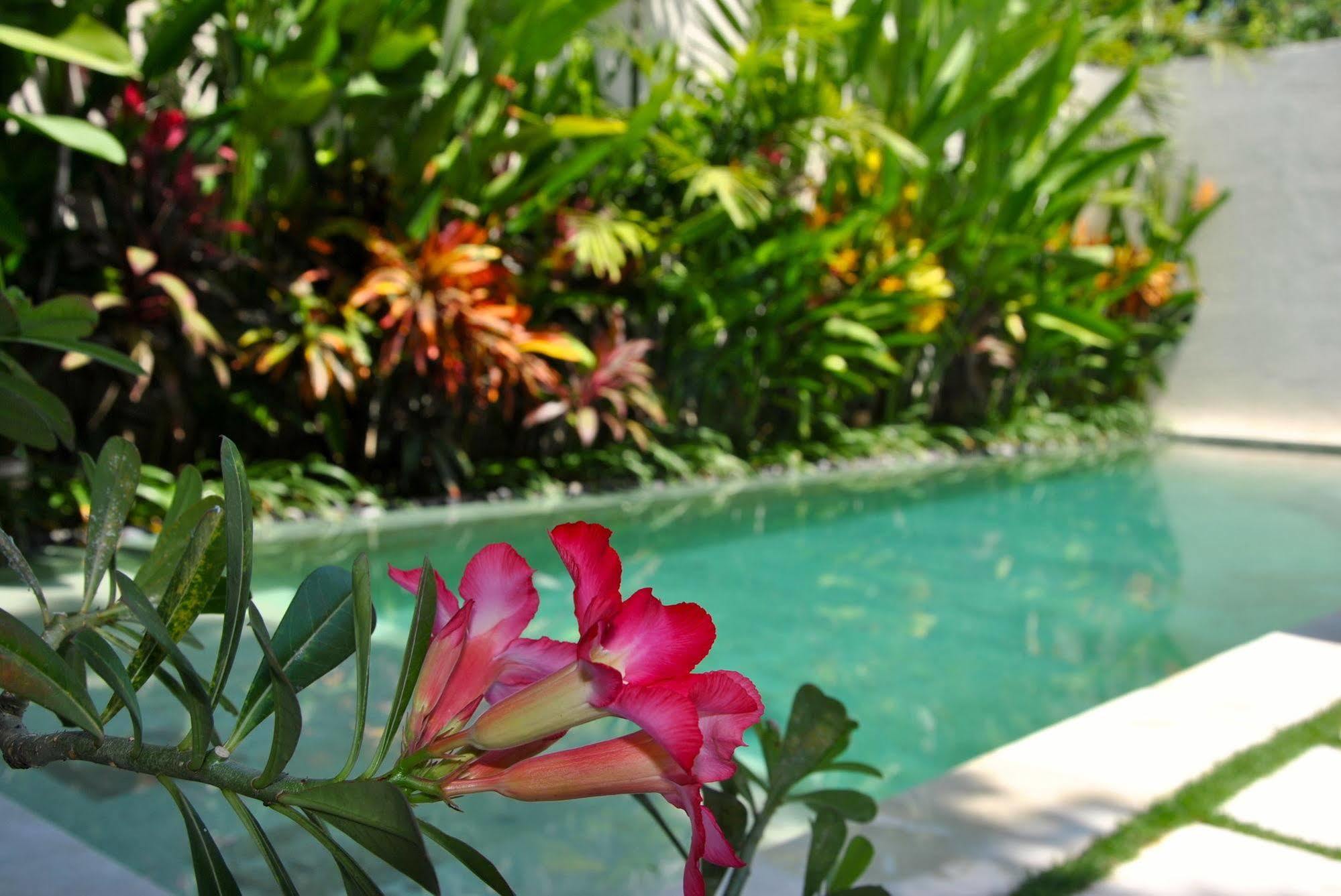Villa Bali Asri Batubelig Seminyak Esterno foto